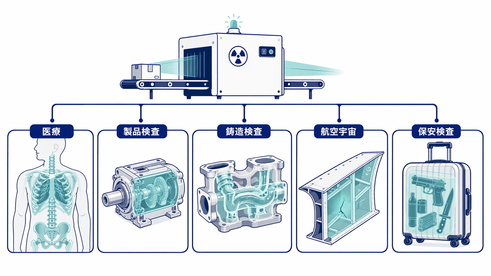 X線検査が導入されている分野を示した画像